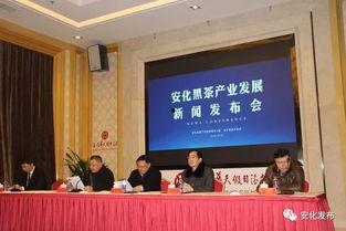 生活帮爆料黑茶新闻报道,黑茶市场乱象,真相曝光! 第1张 生活帮爆料黑茶新闻报道,黑茶市场乱象,真相曝光! 第1张