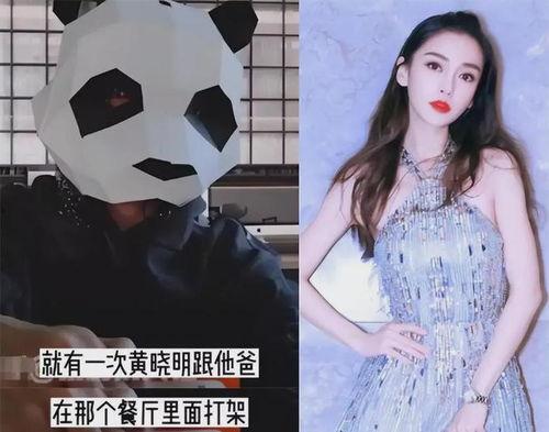 刘大锤爆料杨颖视频,揭秘明星幕后真相