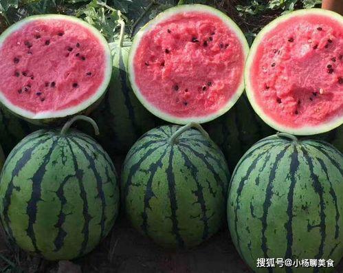 有哪些吃瓜免费的网站,盘点那些让你畅享娱乐的免费网站