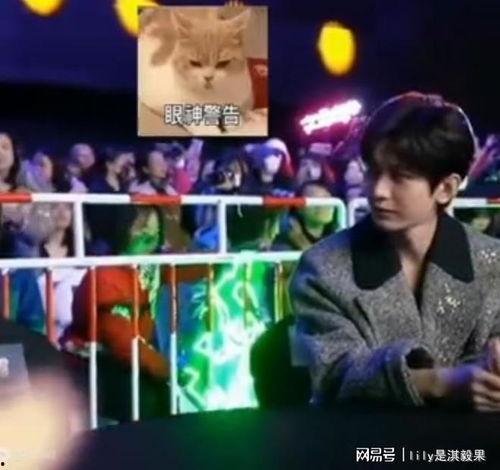 成毅爆料录音是真的吗视频,视频证据揭示真相 第3张 成毅爆料录音是真的吗视频,视频证据揭示真相 第3张