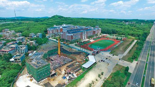 海南儋州爆料新闻最新,事件详情引关注 第2张 海南儋州爆料新闻最新,事件详情引关注 第2张