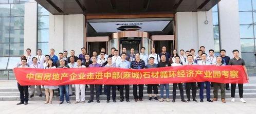 麻城石材厂爆料视频,揭秘石材行业背后真相